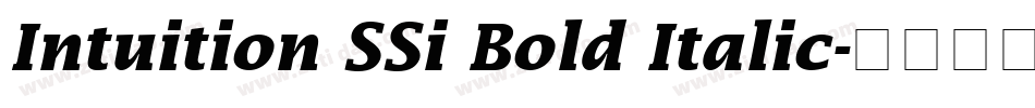 Intuition SSi Bold Italic字体转换